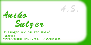 aniko sulzer business card